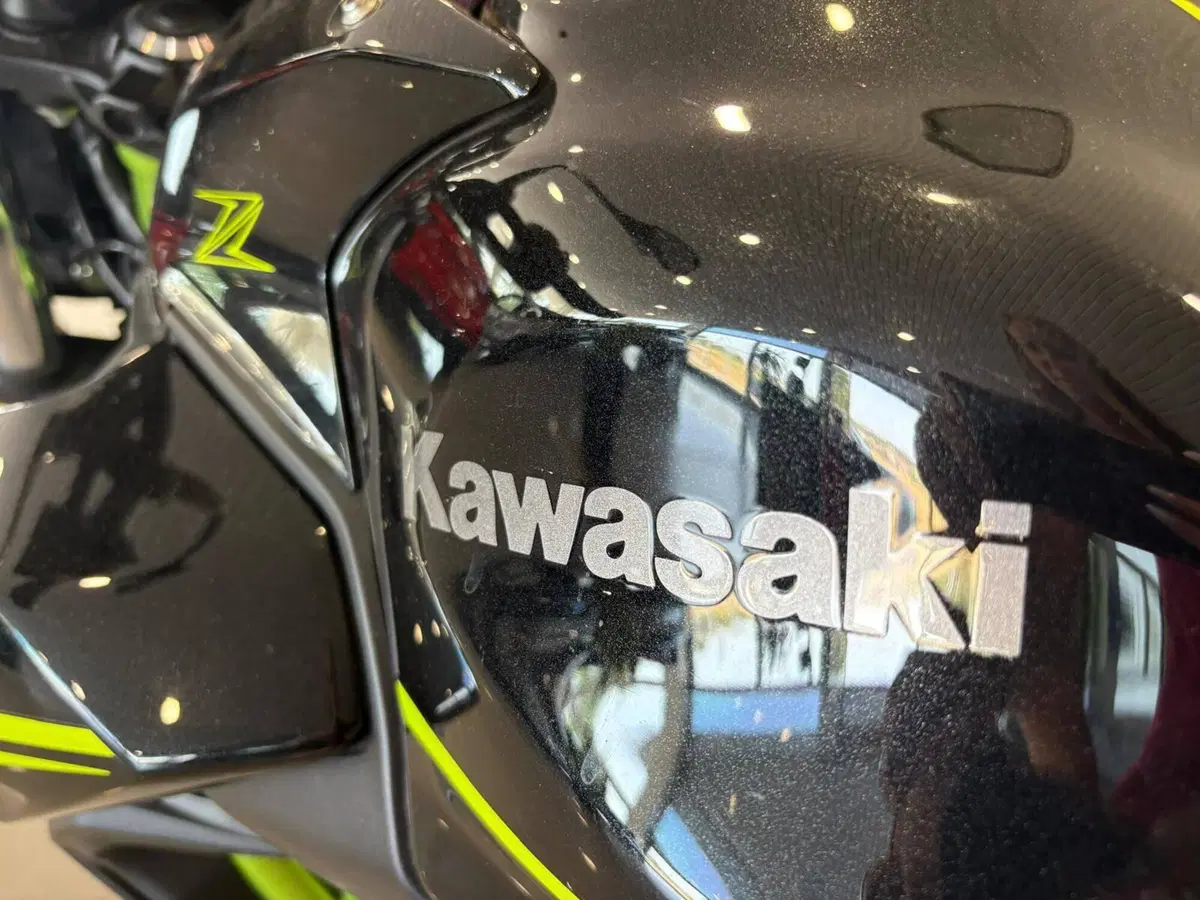 Kawasaki Z 650 (2020) (15)