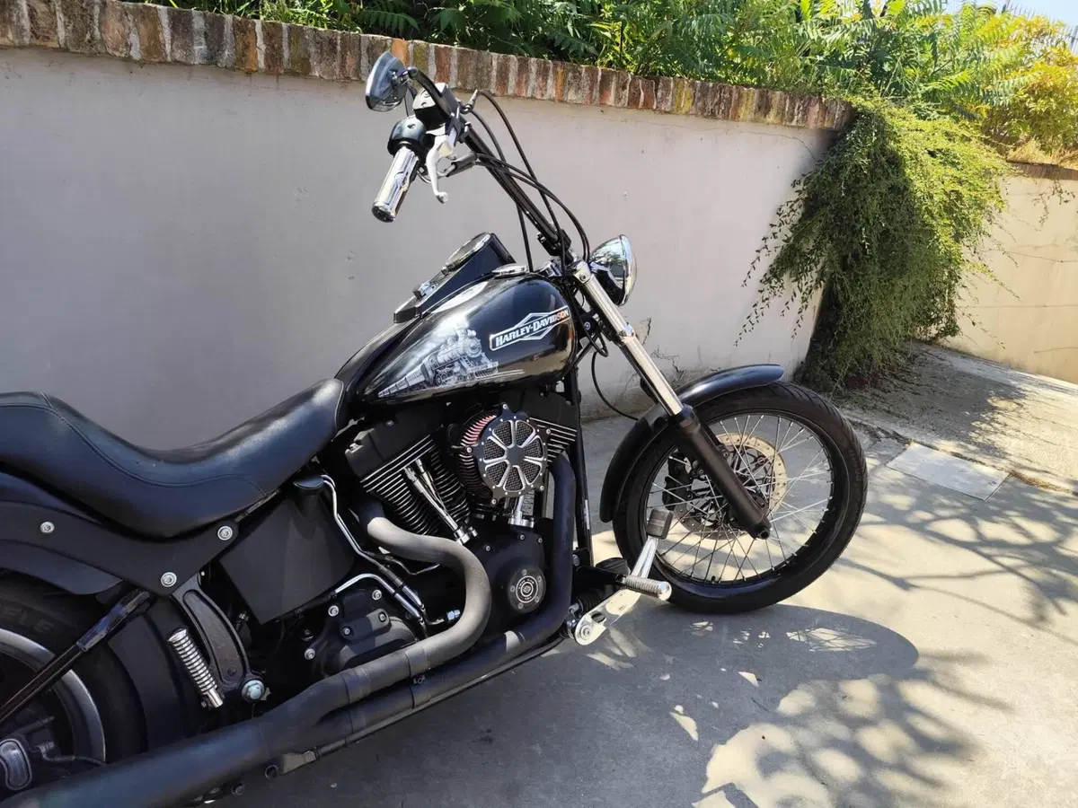 Harley-Davidson 1584 Night Train (2006 - 07) - FXSTB (2)