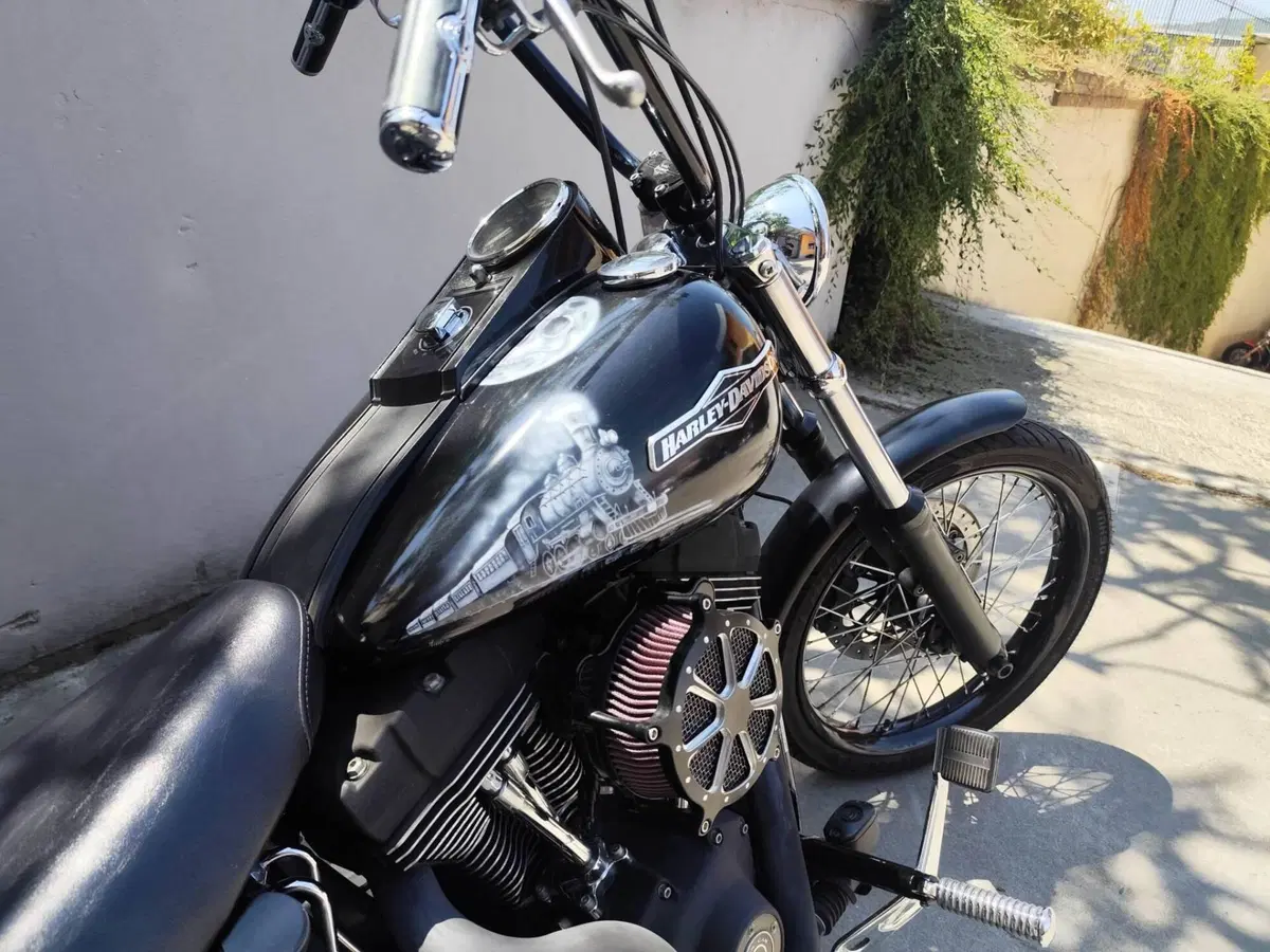 Harley-Davidson 1584 Night Train (2006 - 07) - FXSTB (4)
