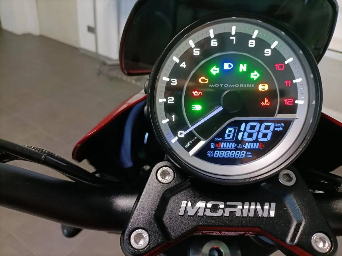 Moto Morini Calibro Custom (2024 - 26) (5)