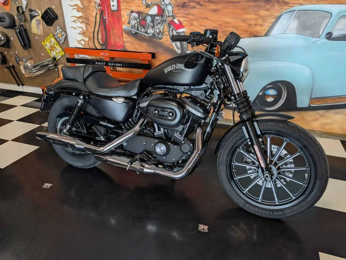 Harley-Davidson 883 Iron (2014 - 16) - XL 883N (2)