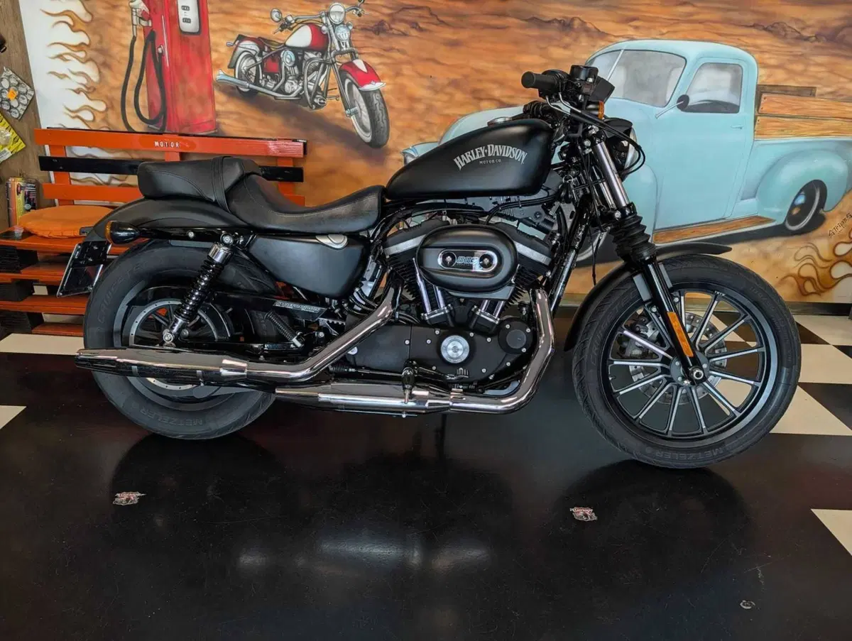 Harley-Davidson 883 Iron (2014 - 16) - XL 883N (3)