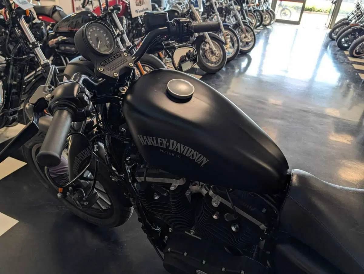 Harley-Davidson 883 Iron (2014 - 16) - XL 883N (4)