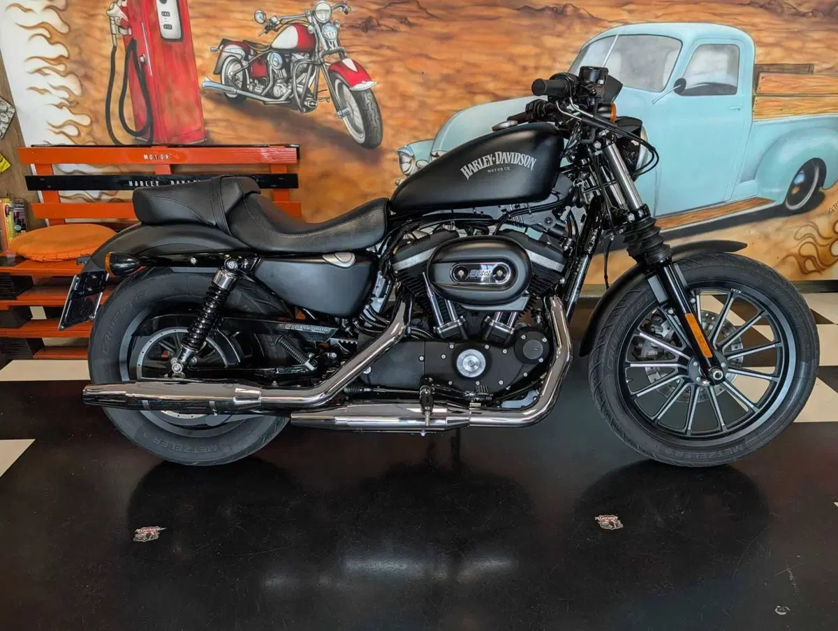 Harley-Davidson 883 Iron (2014 - 16) - XL 883N (6)