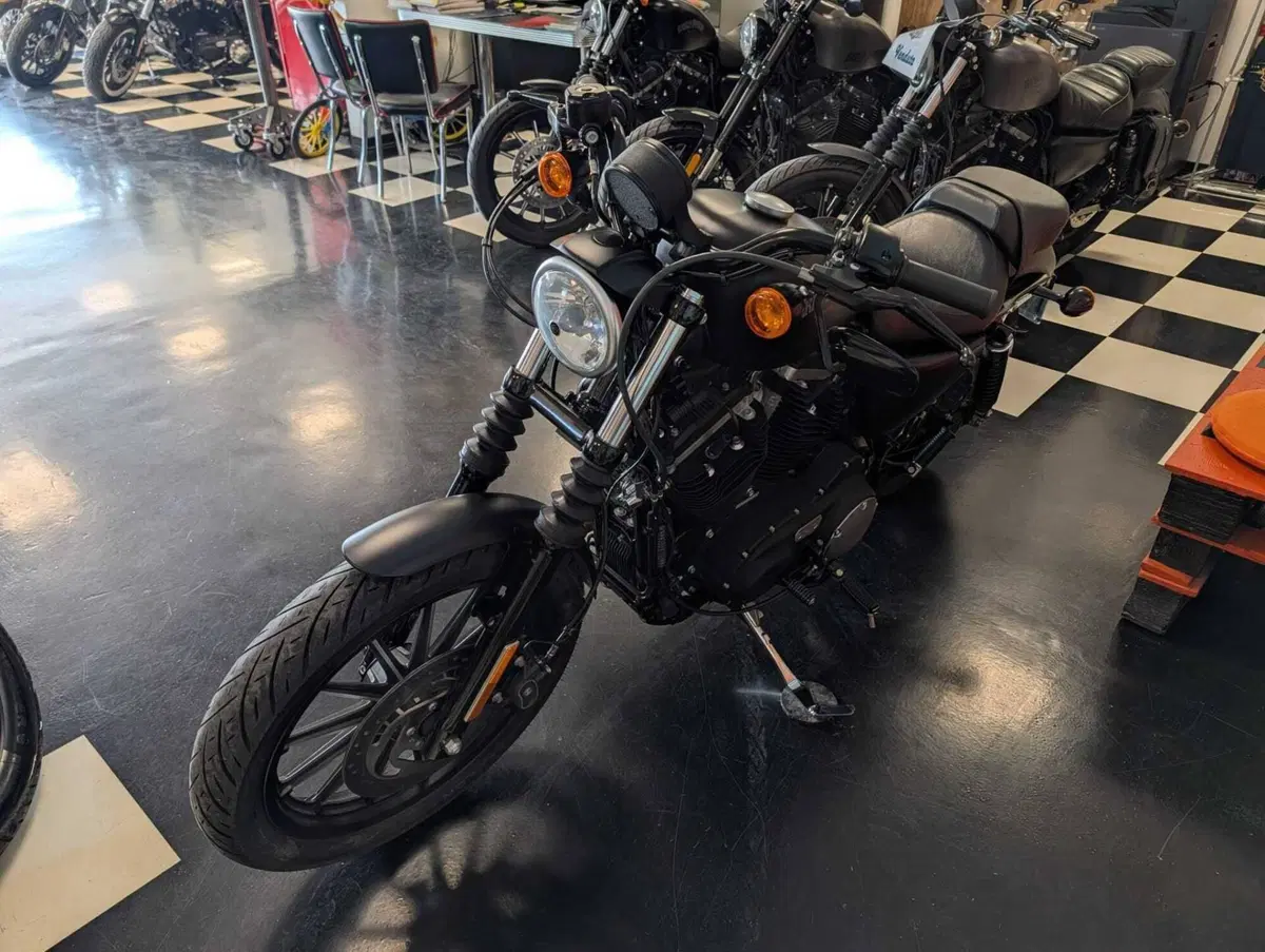 Harley-Davidson 883 Iron (2014 - 16) - XL 883N (7)