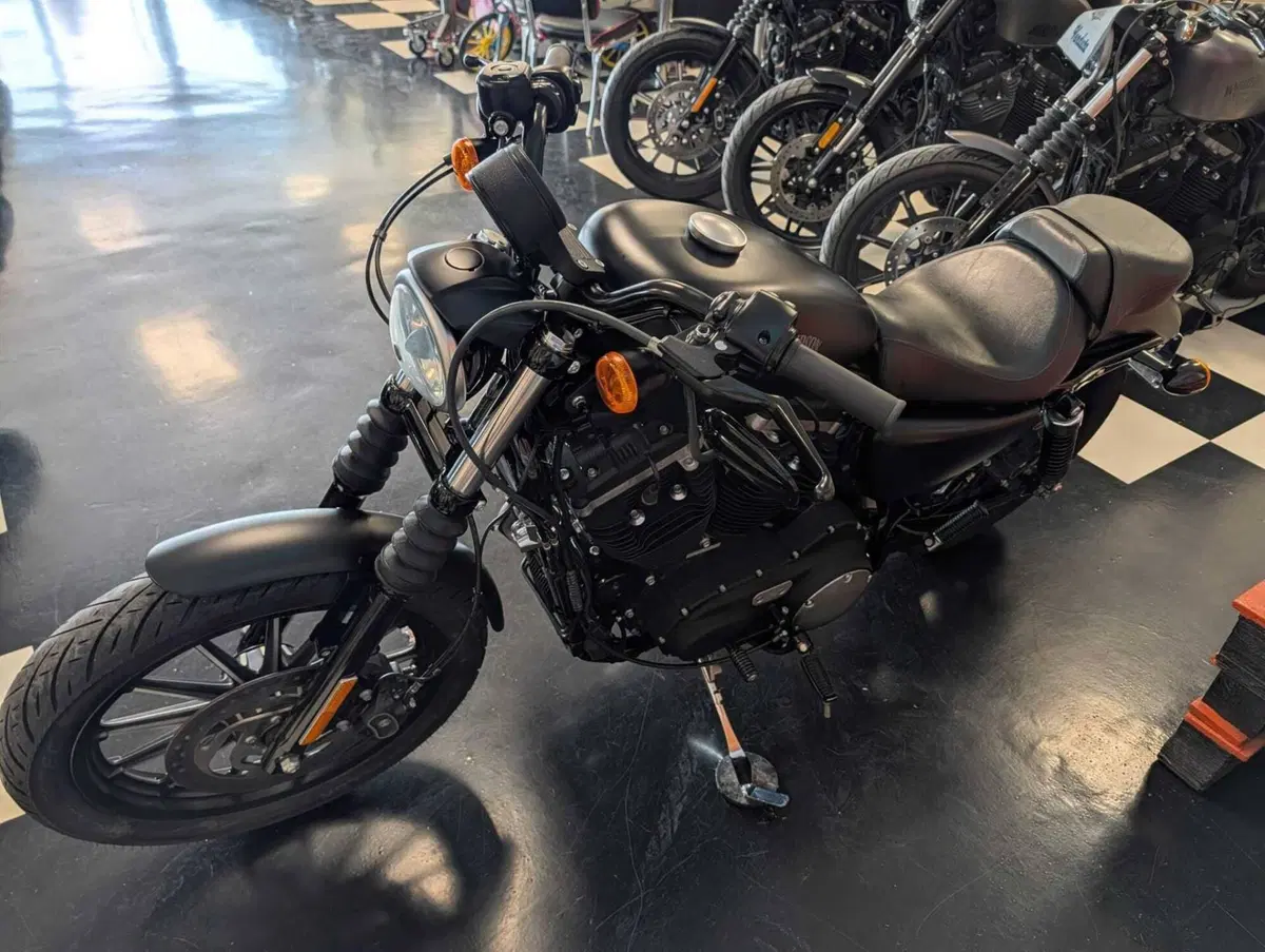 Harley-Davidson 883 Iron (2014 - 16) - XL 883N (8)