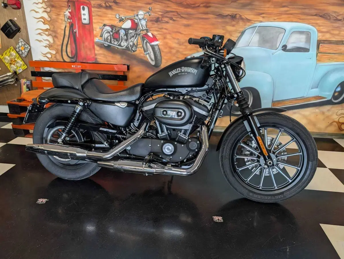 Harley-Davidson 883 Iron (2014 - 16) - XL 883N (9)