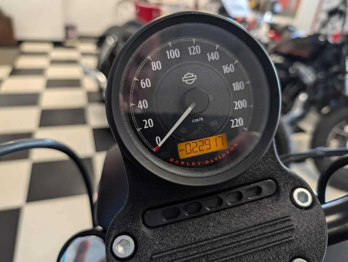 Harley-Davidson 883 Iron (2014 - 16) - XL 883N (10)