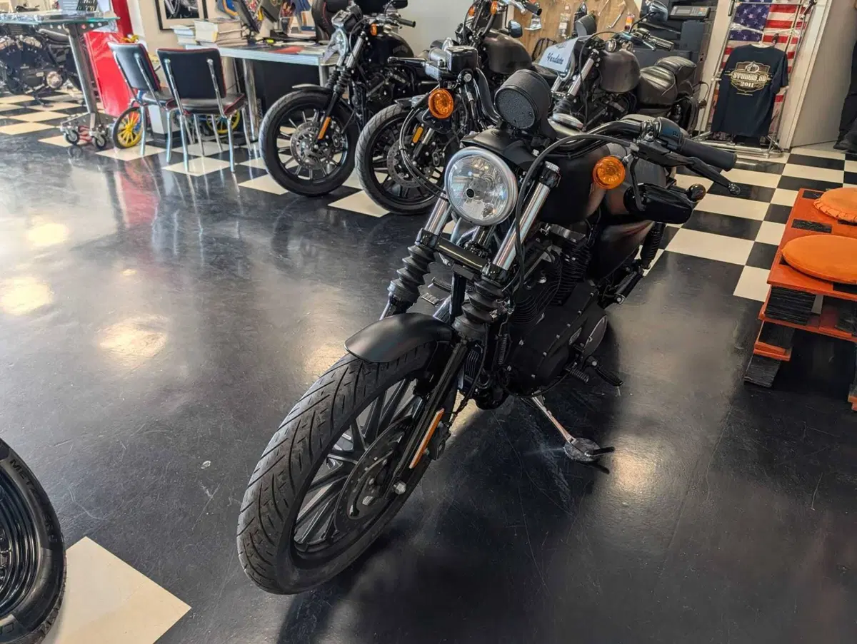 Harley-Davidson 883 Iron (2014 - 16) - XL 883N (12)