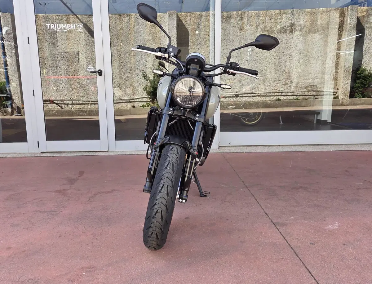 Triumph Trident 660 (2026) (5)