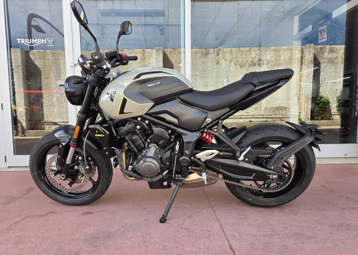 Triumph Trident 660 (2026) (6)