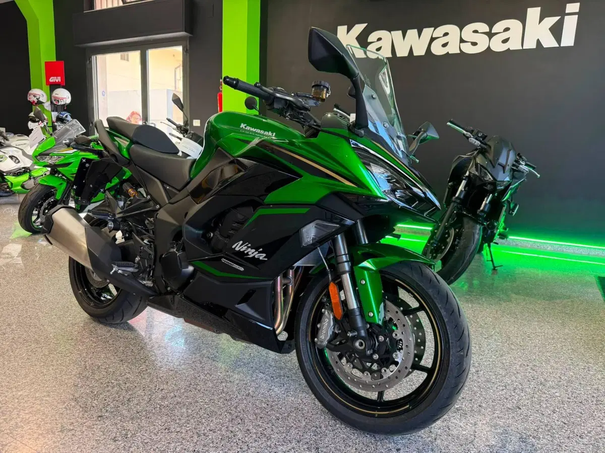 Kawasaki Ninja 1100 SX SE Tourer (2025 - 26) (3)