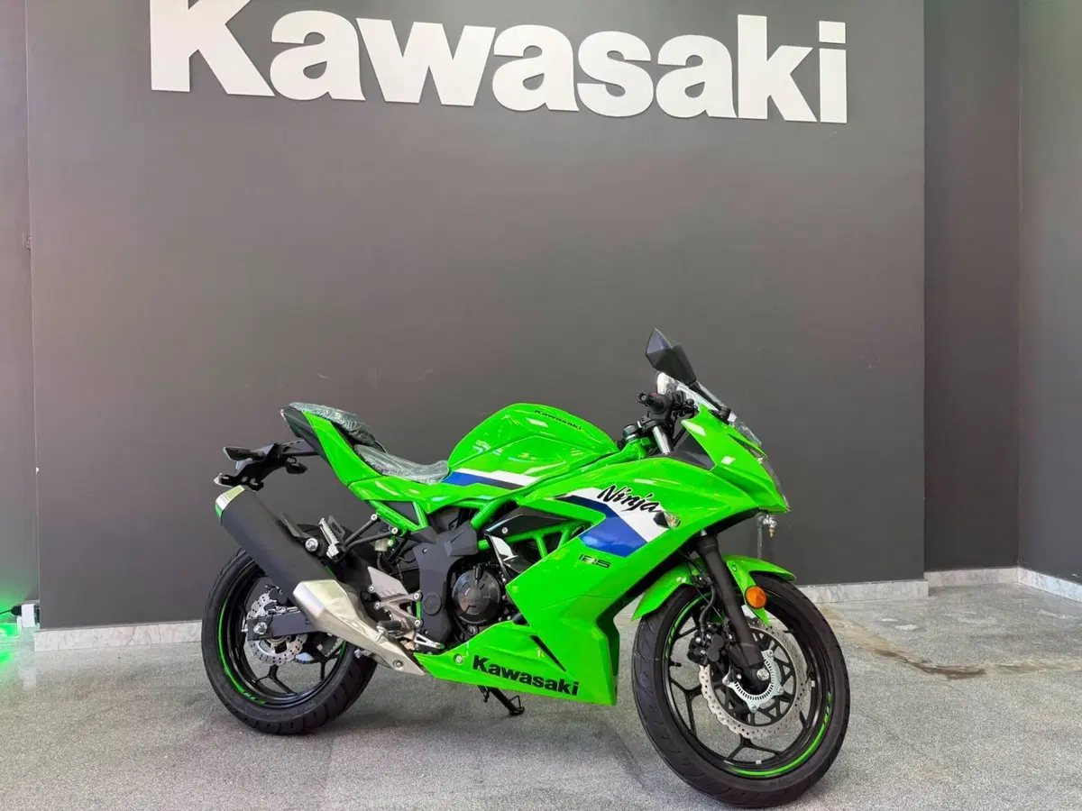 Kawasaki Ninja 125 (2025 - 26) (2)