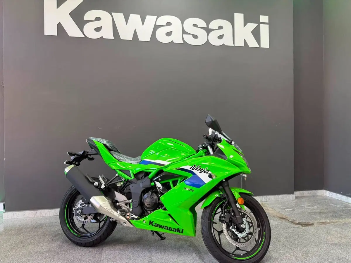 Kawasaki Ninja 125 (2025 - 26) (4)