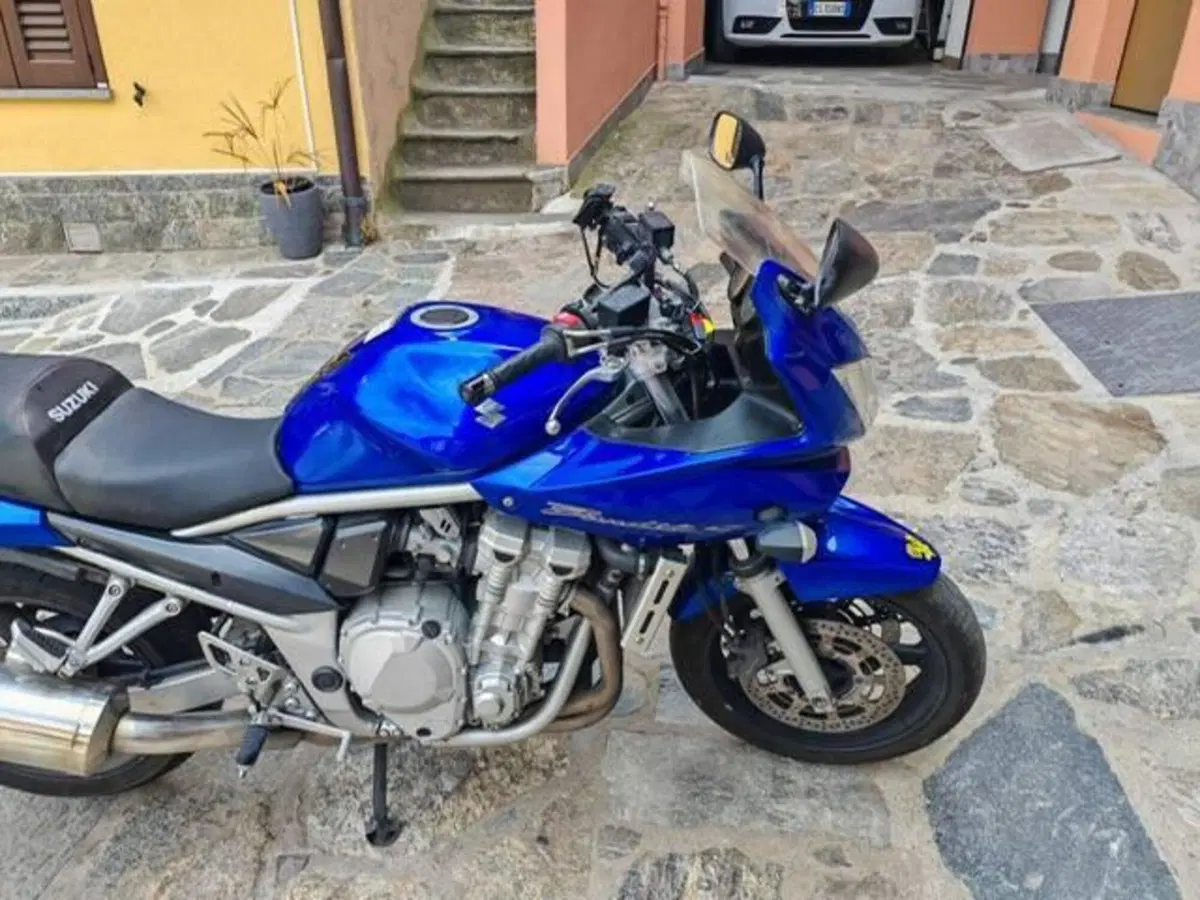 Suzuki GSF 650 Bandit S (2006 - 12) (2)