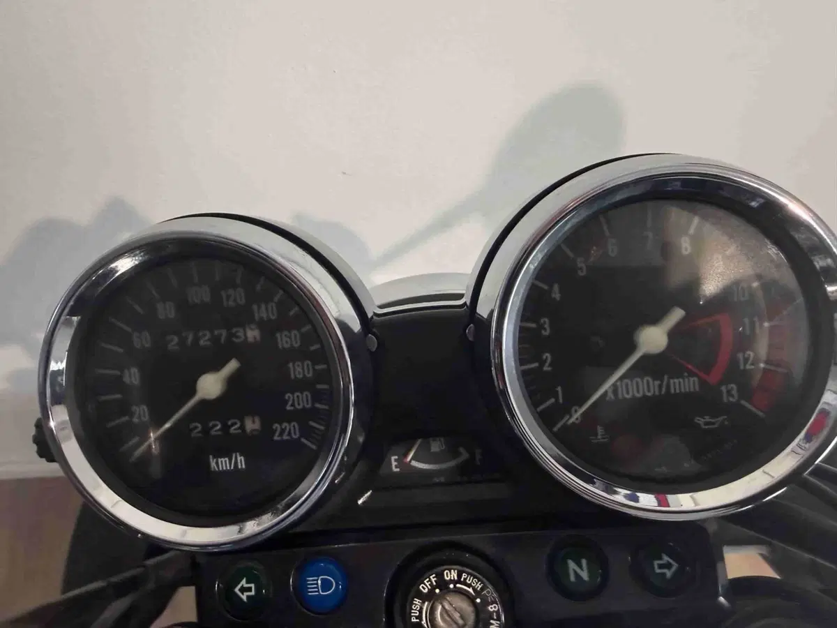 Kawasaki ER-5 500 (2001 - 06) (6)