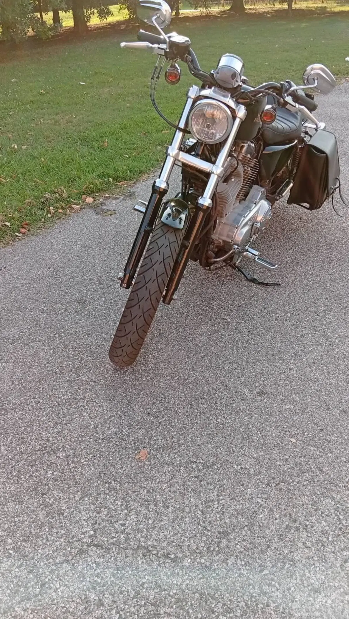 Harley-Davidson 883 (2008 - 09) - XL (2)