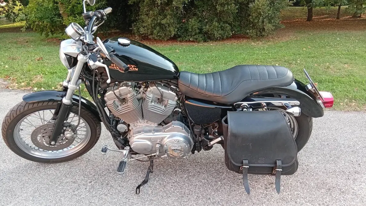 Harley-Davidson 883 (2008 - 09) - XL (3)