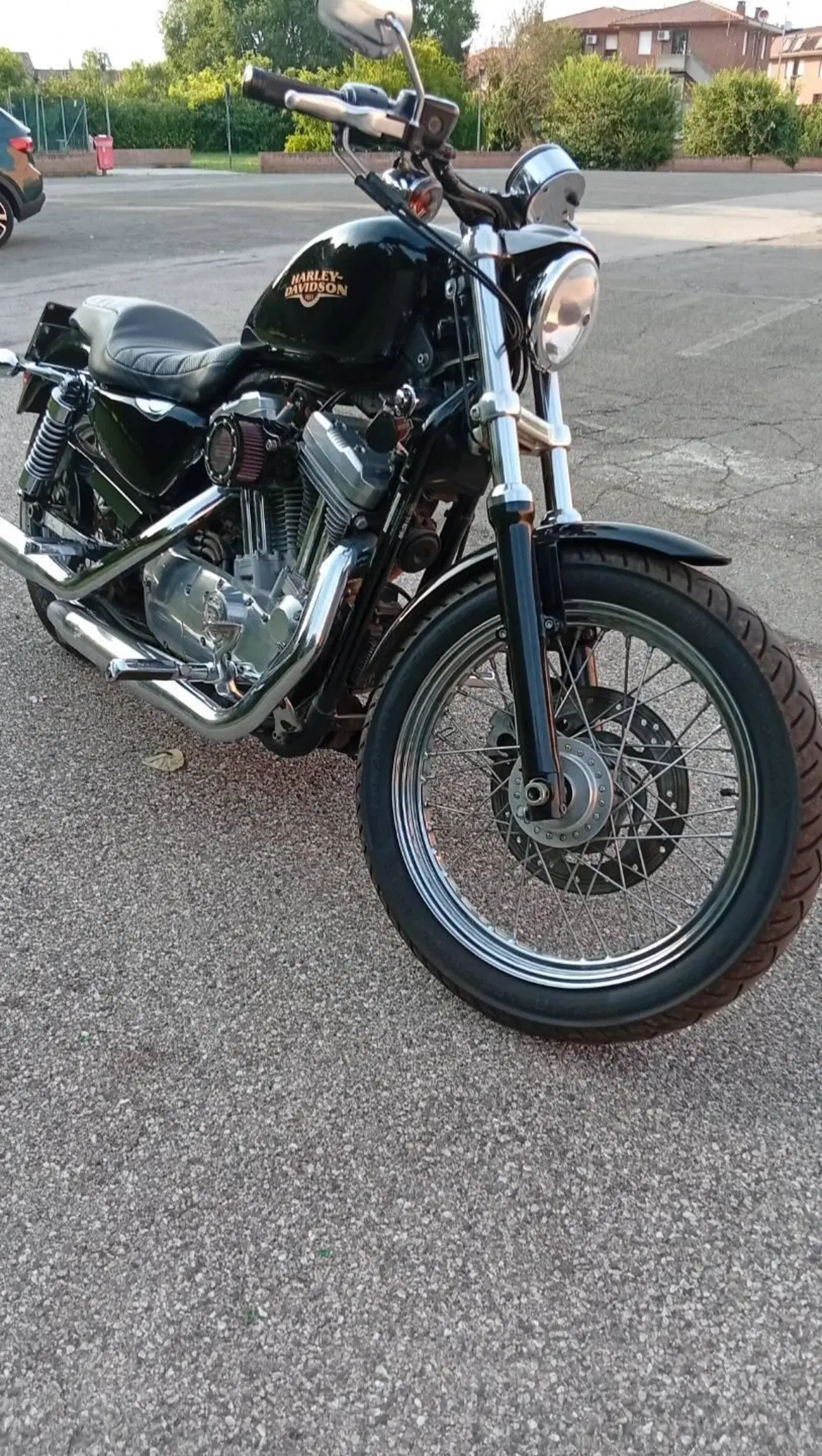 Harley-Davidson 883 (2008 - 09) - XL (9)
