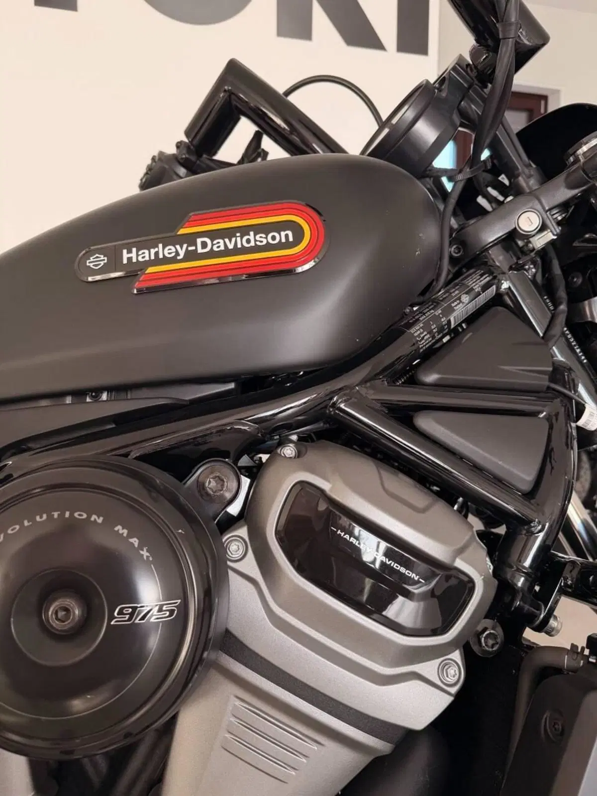 Harley-Davidson Nightster Special (2023 - 26) (5)