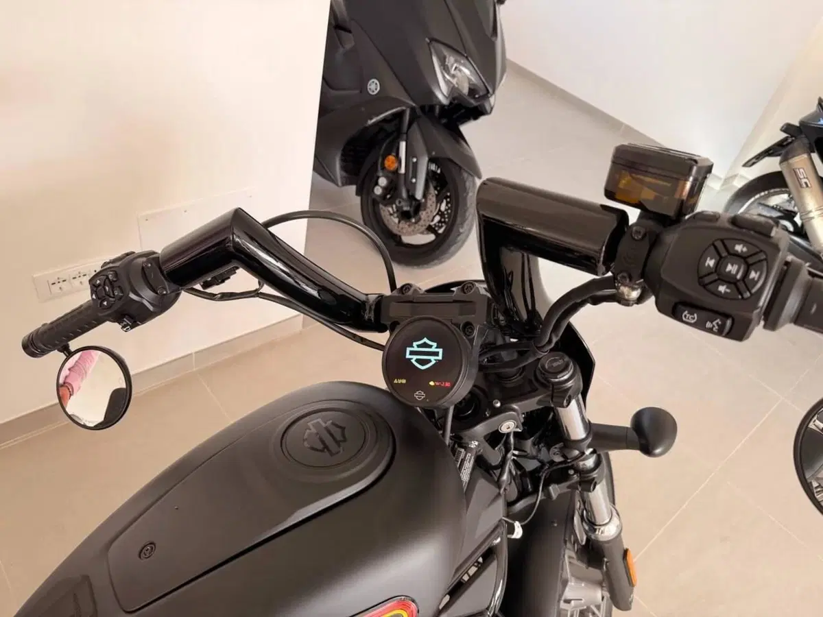 Harley-Davidson Nightster Special (2023 - 26) (7)