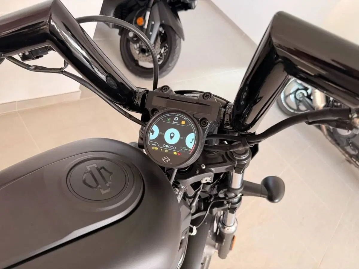 Harley-Davidson Nightster Special (2023 - 26) (9)