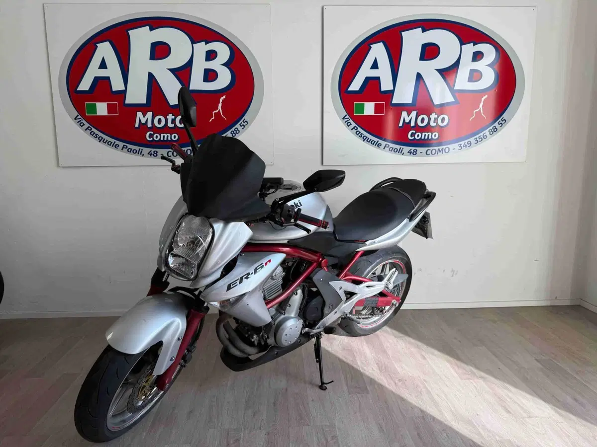 Kawasaki ER-6N (2005 - 08) (2)