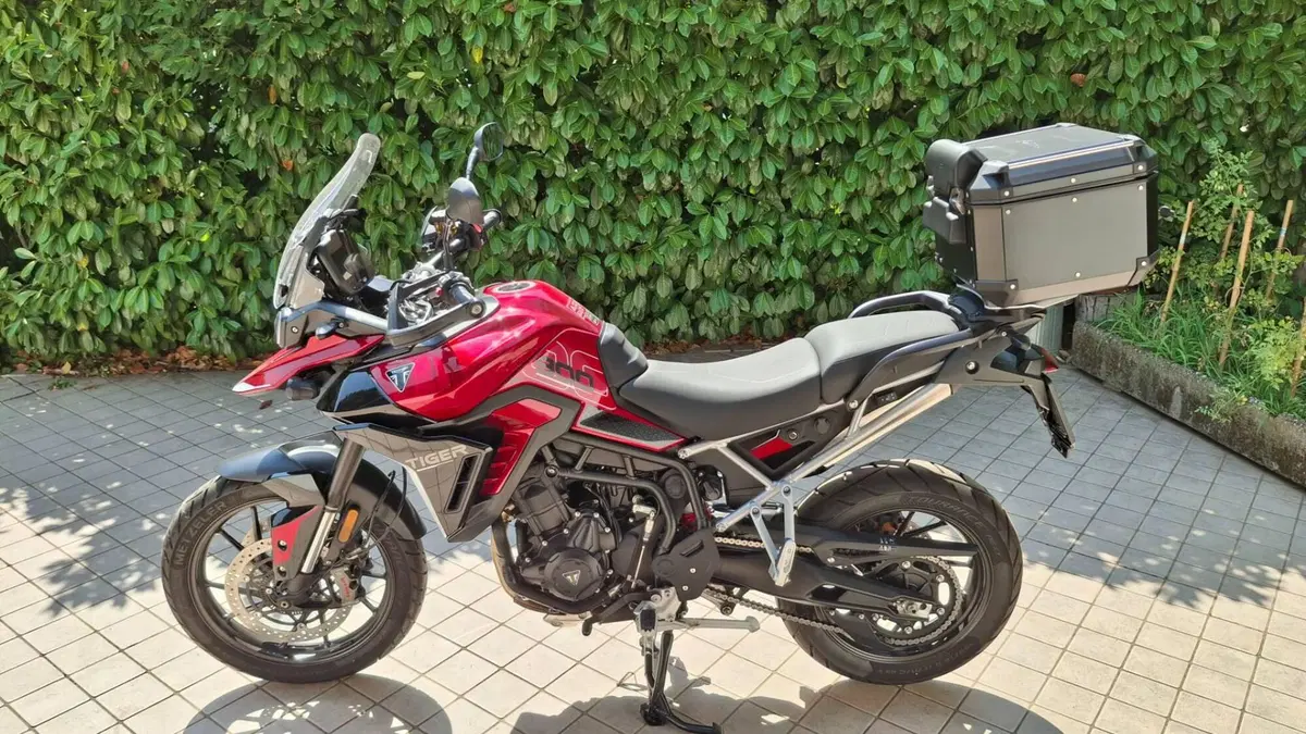 Triumph Tiger 900 GT Pro (2024 - 26) (3)