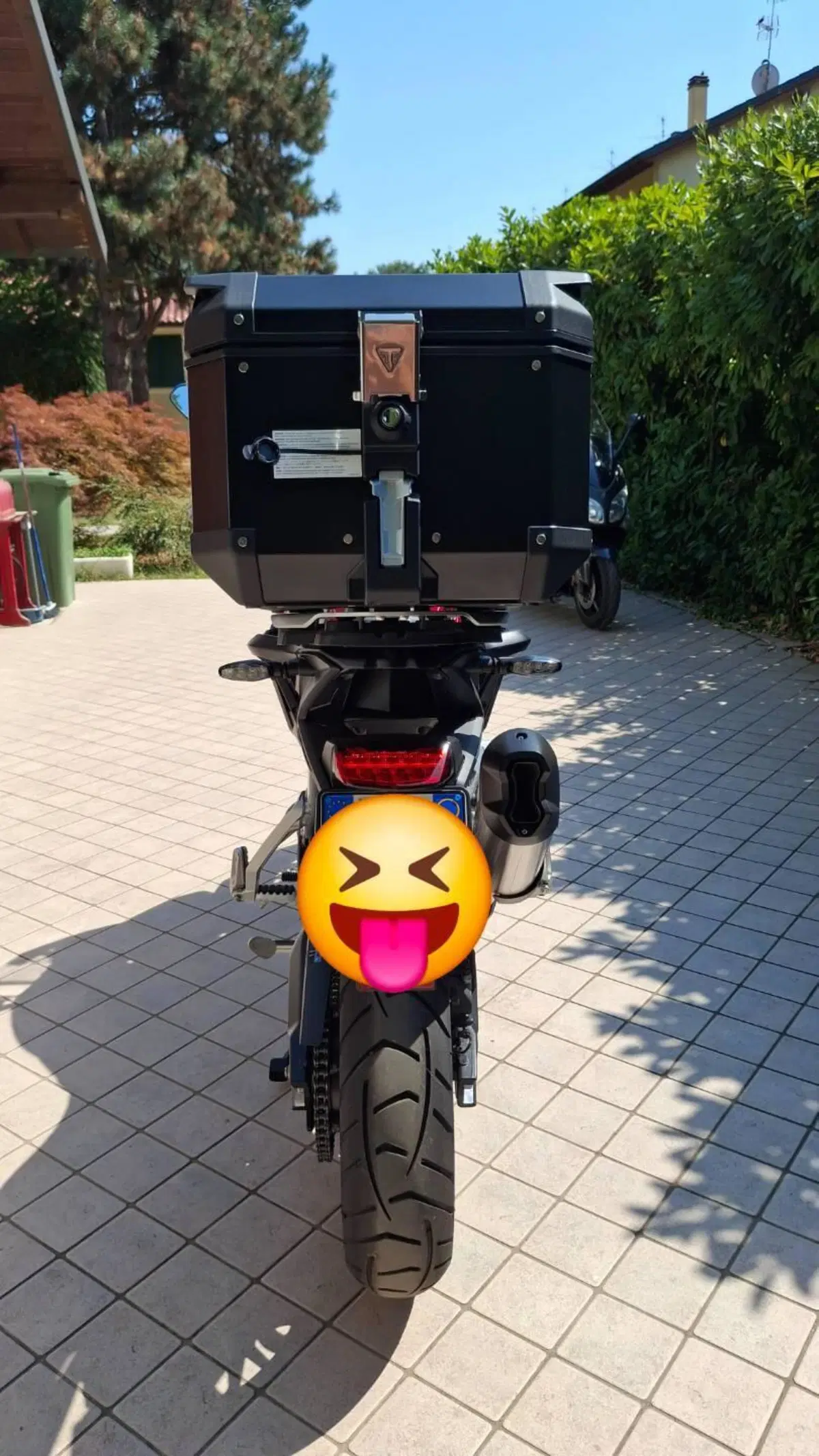 Triumph Tiger 900 GT Pro (2024 - 26) (5)