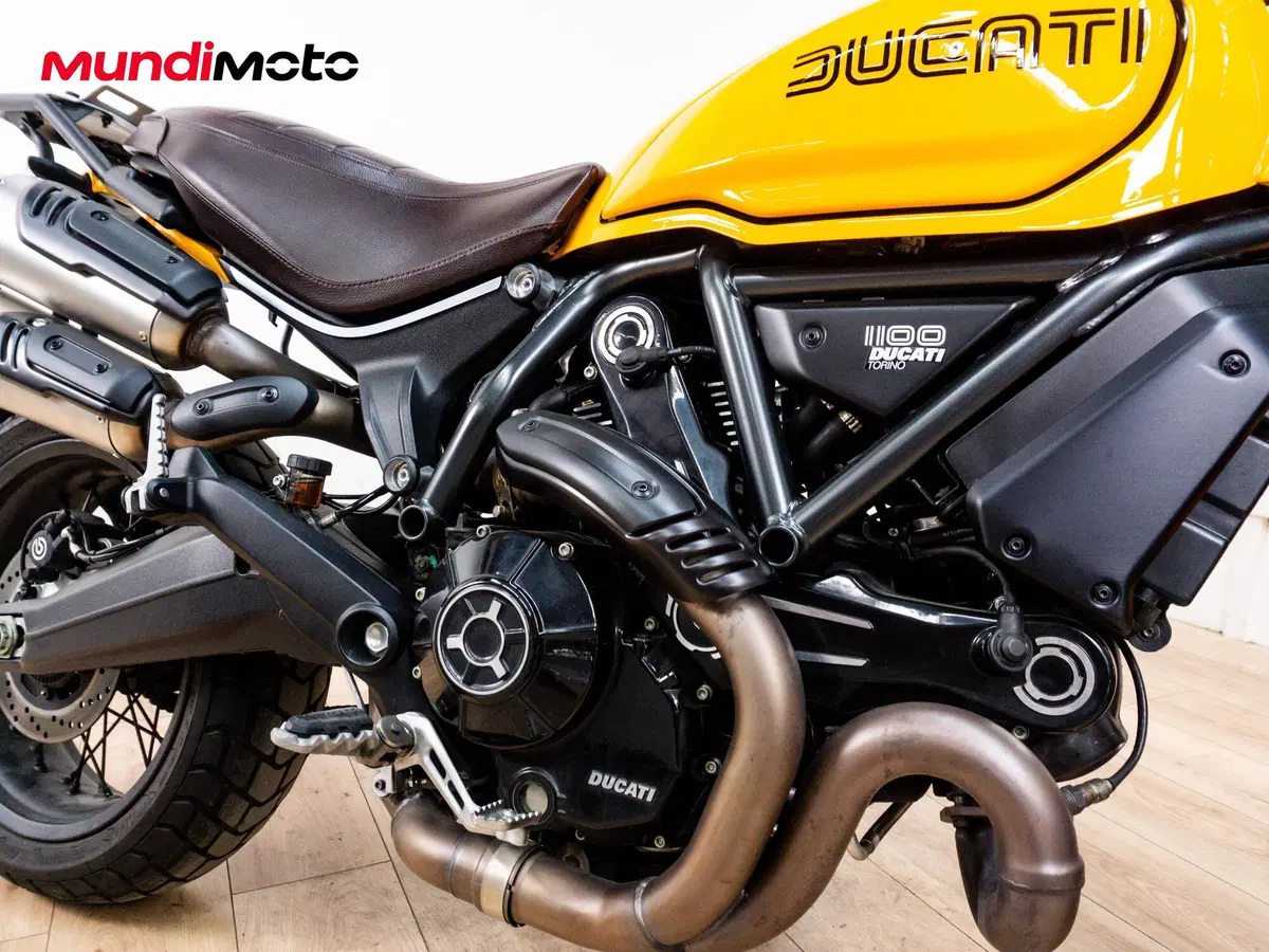 Ducati Scrambler 1100 Tribute Pro (2022 - 24) (5)