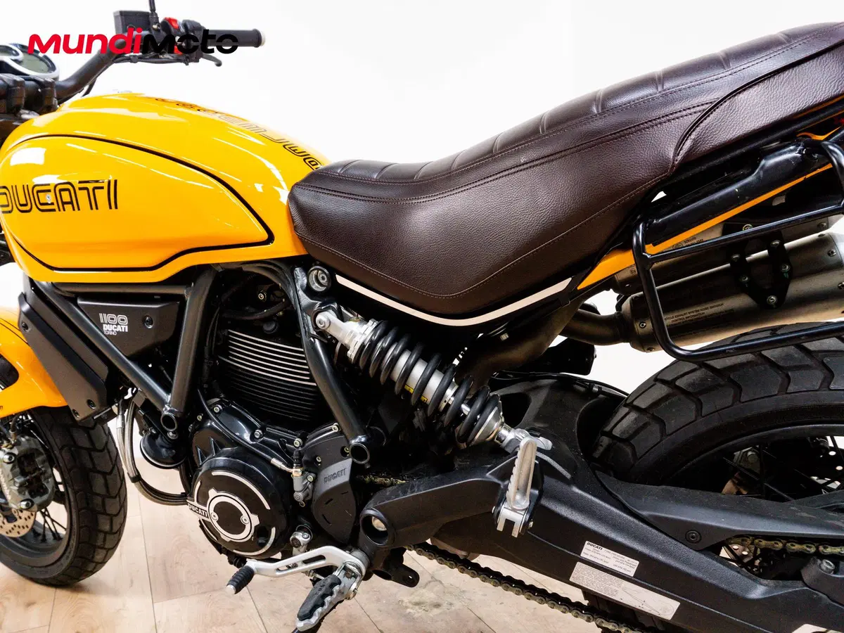 Ducati Scrambler 1100 Tribute Pro (2022 - 24) (10)