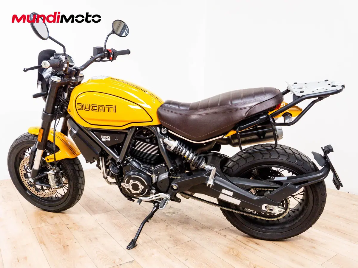 Ducati Scrambler 1100 Tribute Pro (2022 - 24) (7)