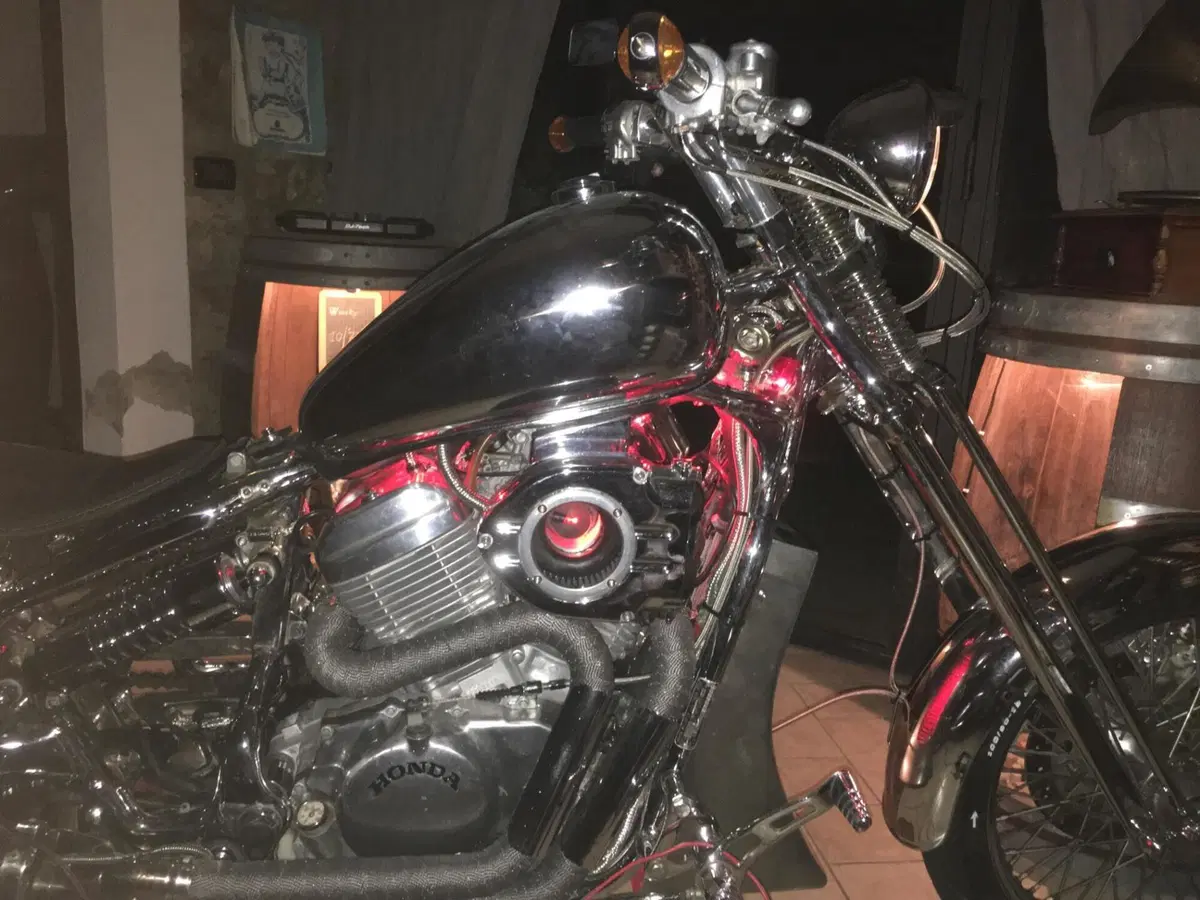Honda VT600C (8)