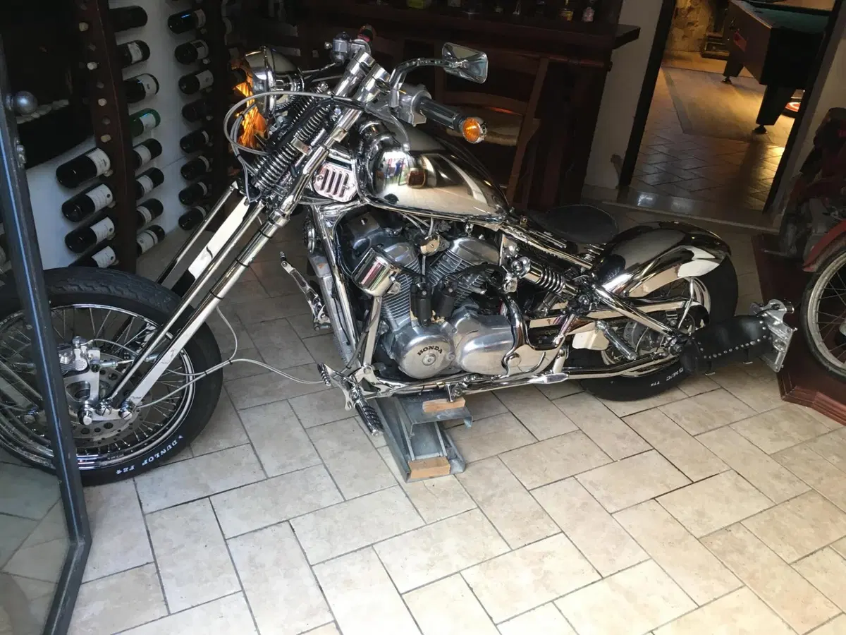 Honda VT600C (10)