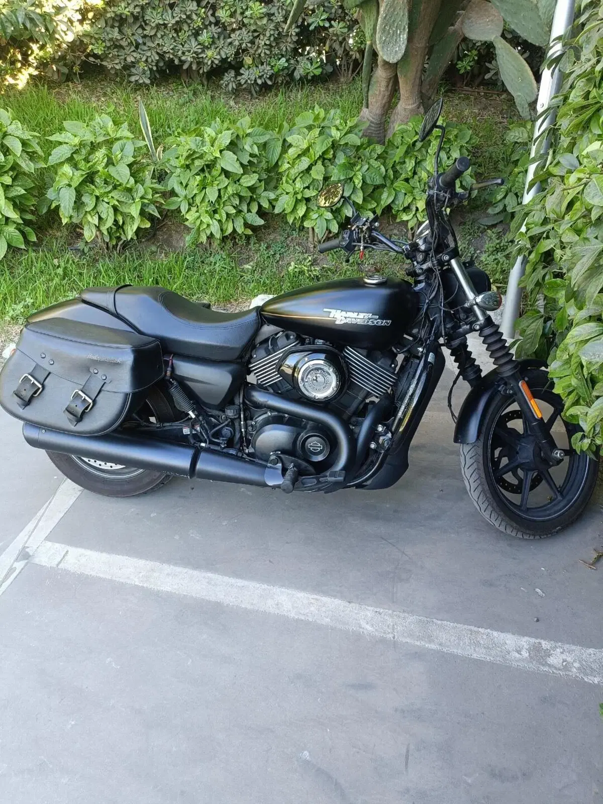 Harley-Davidson 750 Street (2017 - 20) - XG 750 (3)