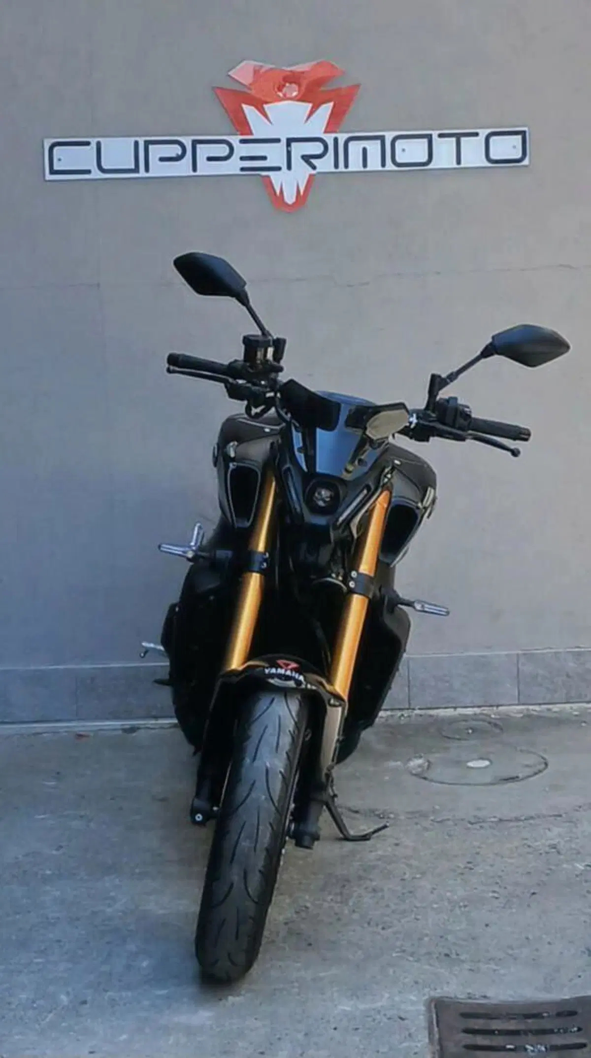 Yamaha MT-09 SP (2021 - 23) (2)