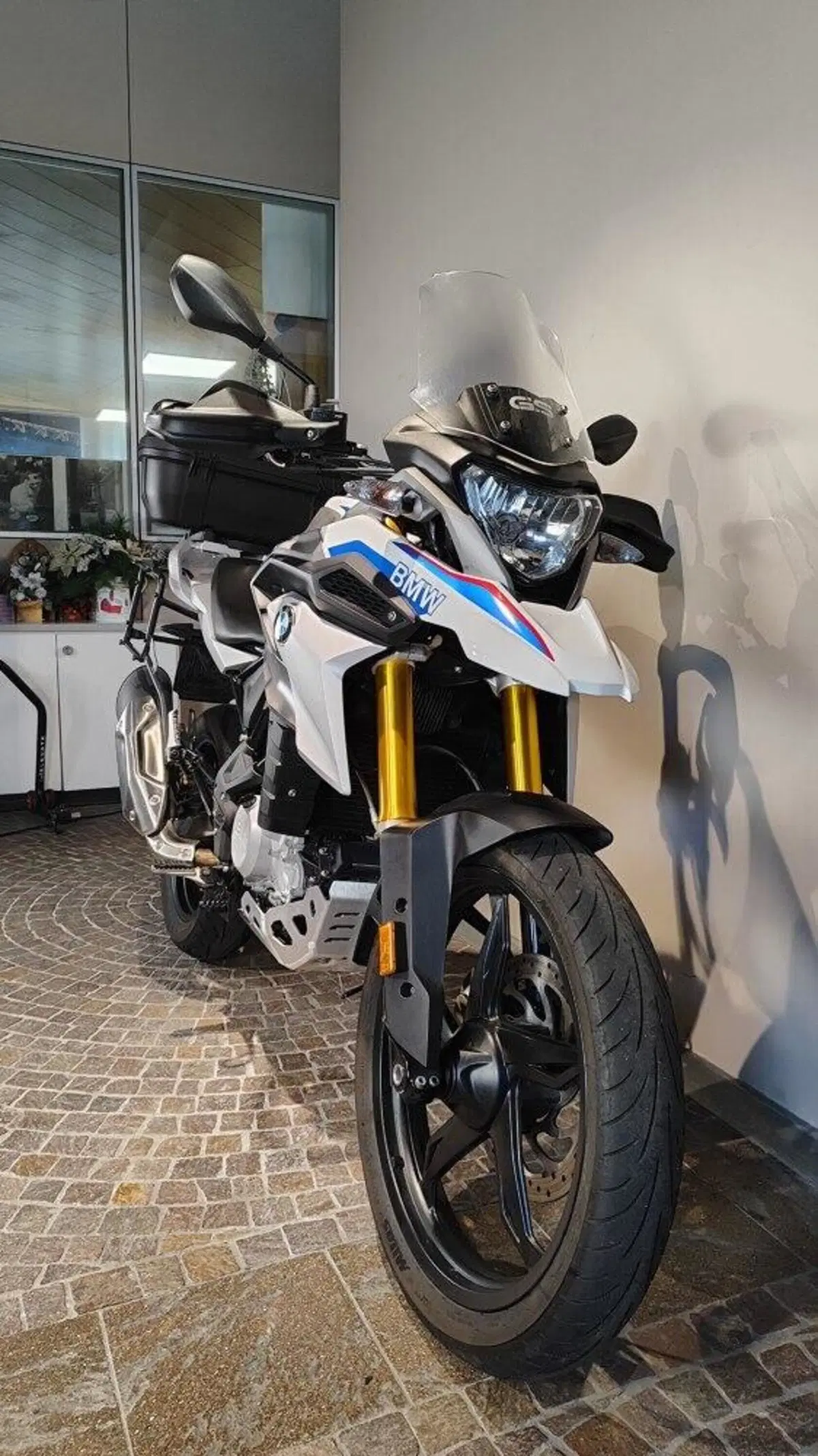 Bmw G 310 GS (2017 - 20) (3)