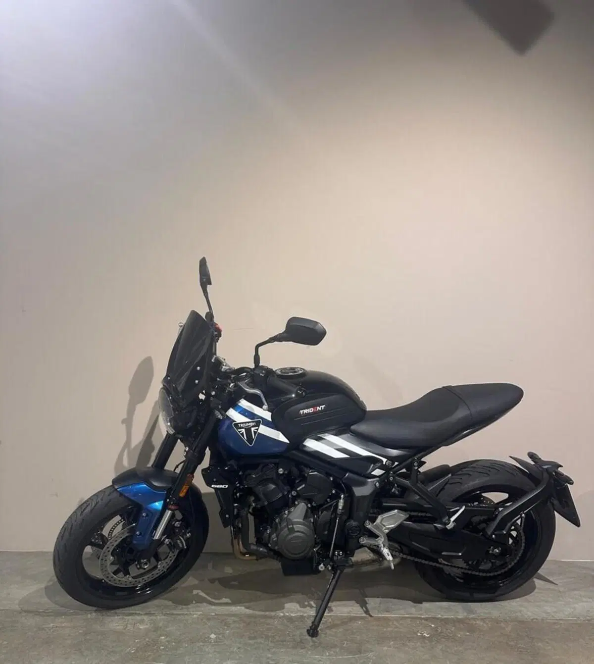 Triumph Trident 660 (2021 - 24) (6)