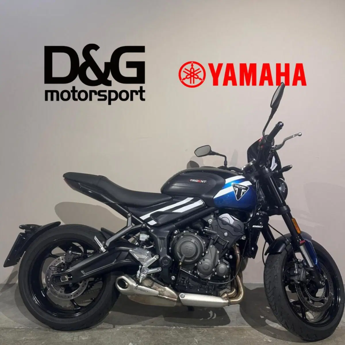 Triumph Trident 660 (2021 - 24)