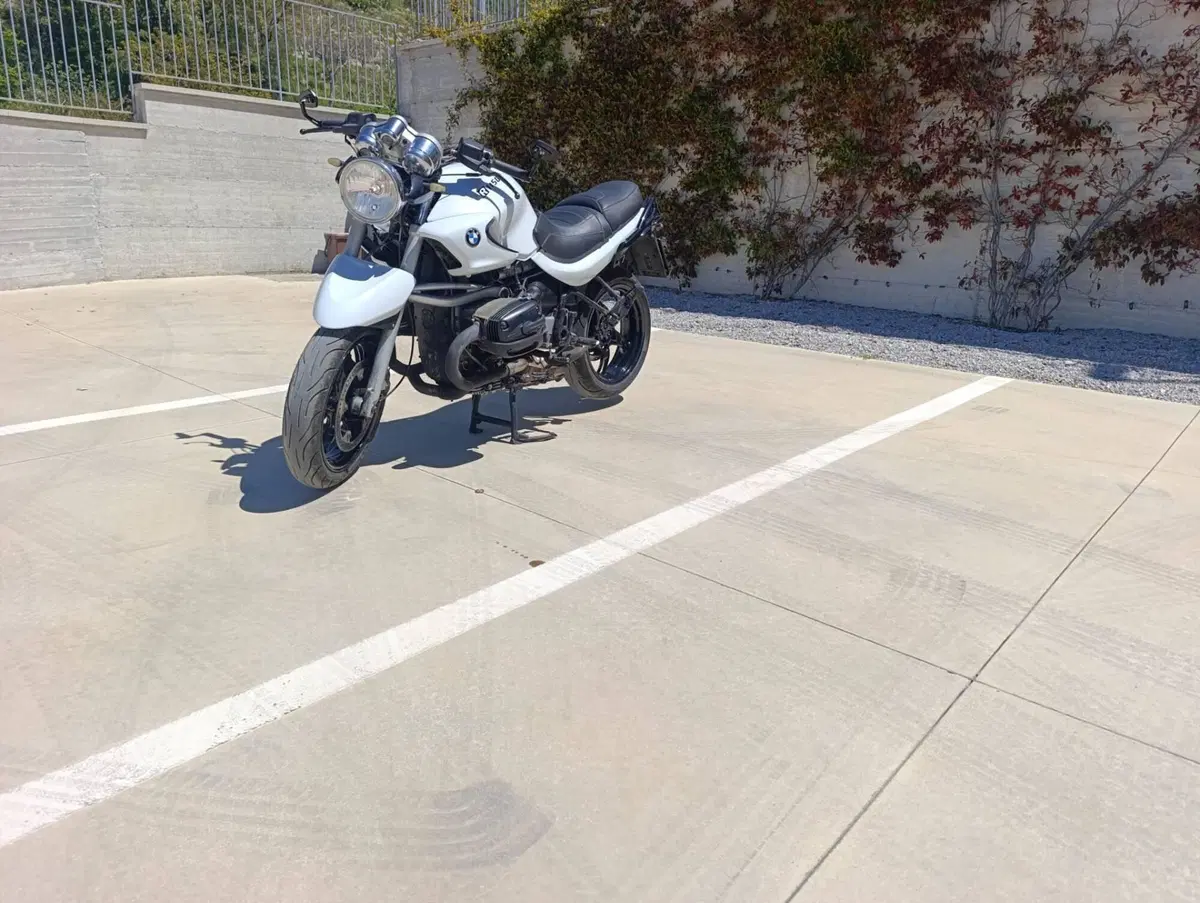 Bmw R 1100 R ABS (15)