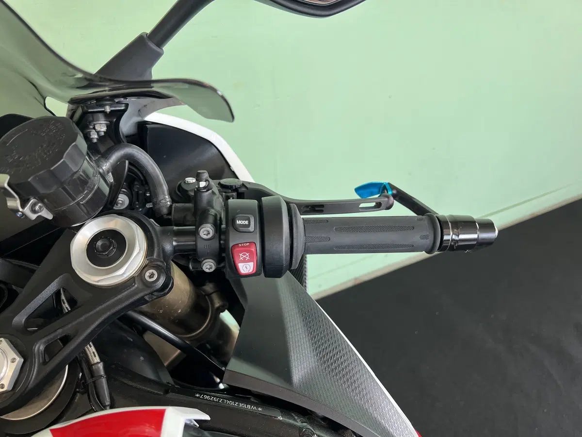 Bmw S 1000 RR (2019 - 20) (20)