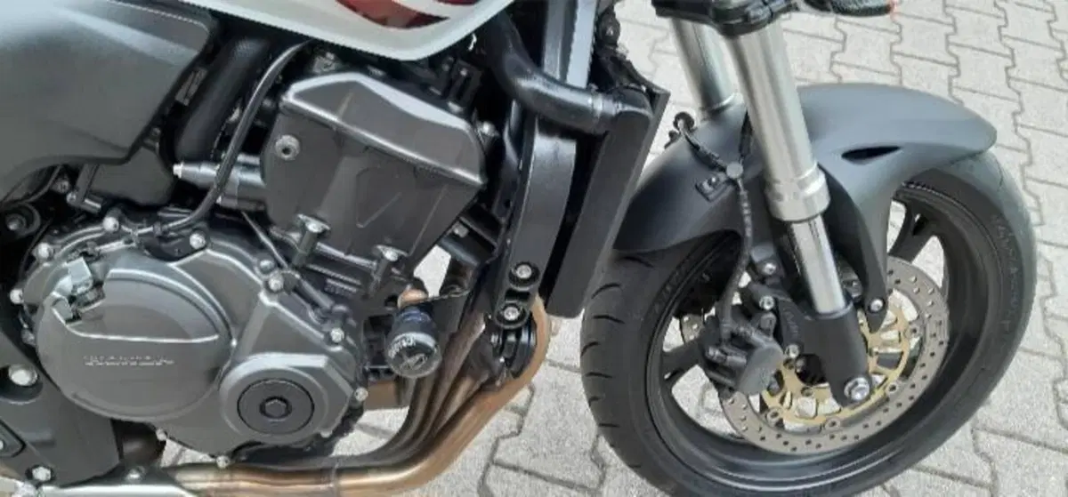 Honda Hornet 600 (2007 - 10) (12)