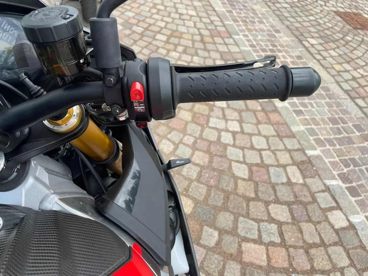 Aprilia Tuono V4 Factory (2021 - 24) (11)
