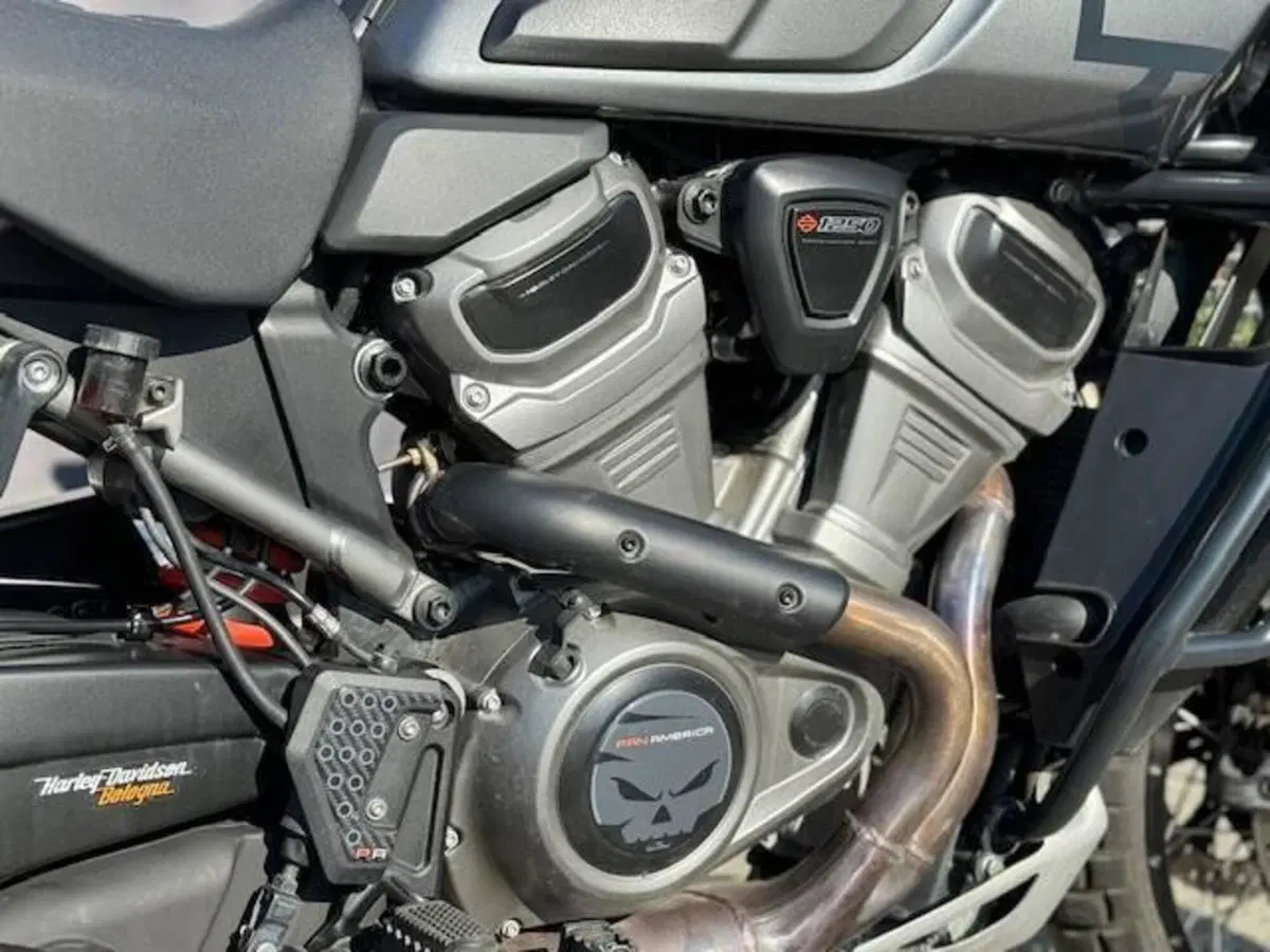 Harley-Davidson Pan America 1250 Special (2020 - 25) (3)