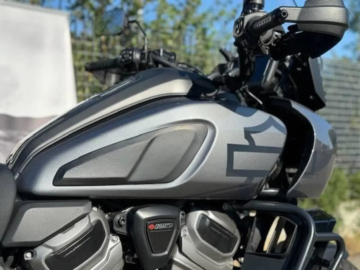 Harley-Davidson Pan America 1250 Special (2020 - 25) (4)