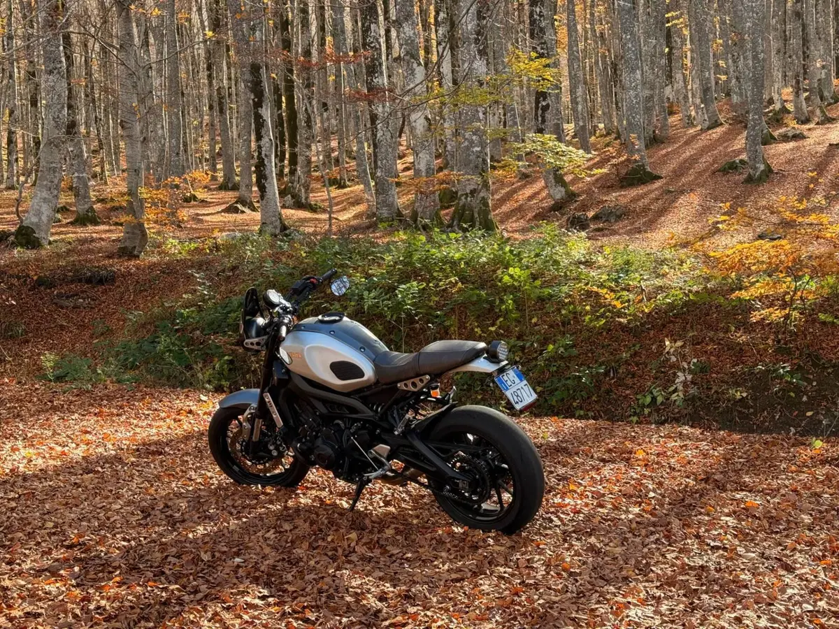 Yamaha XSR 900 ABS (2016 - 20) (5)