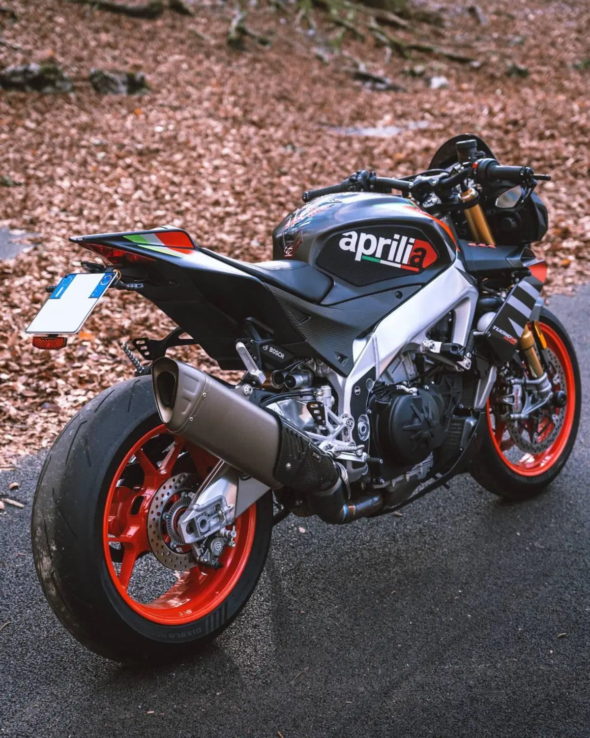 Aprilia Tuono V4 Factory (2019 - 20) (6)