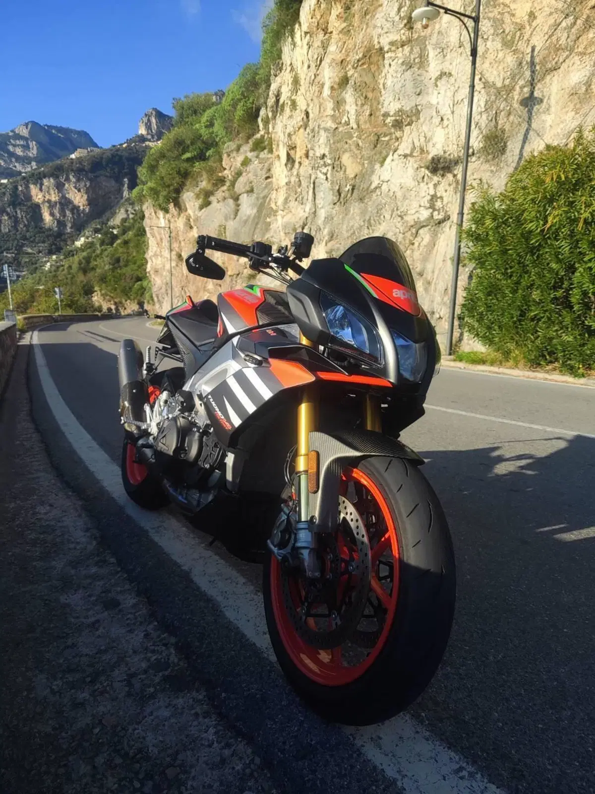 Aprilia Tuono V4 Factory (2019 - 20) (7)