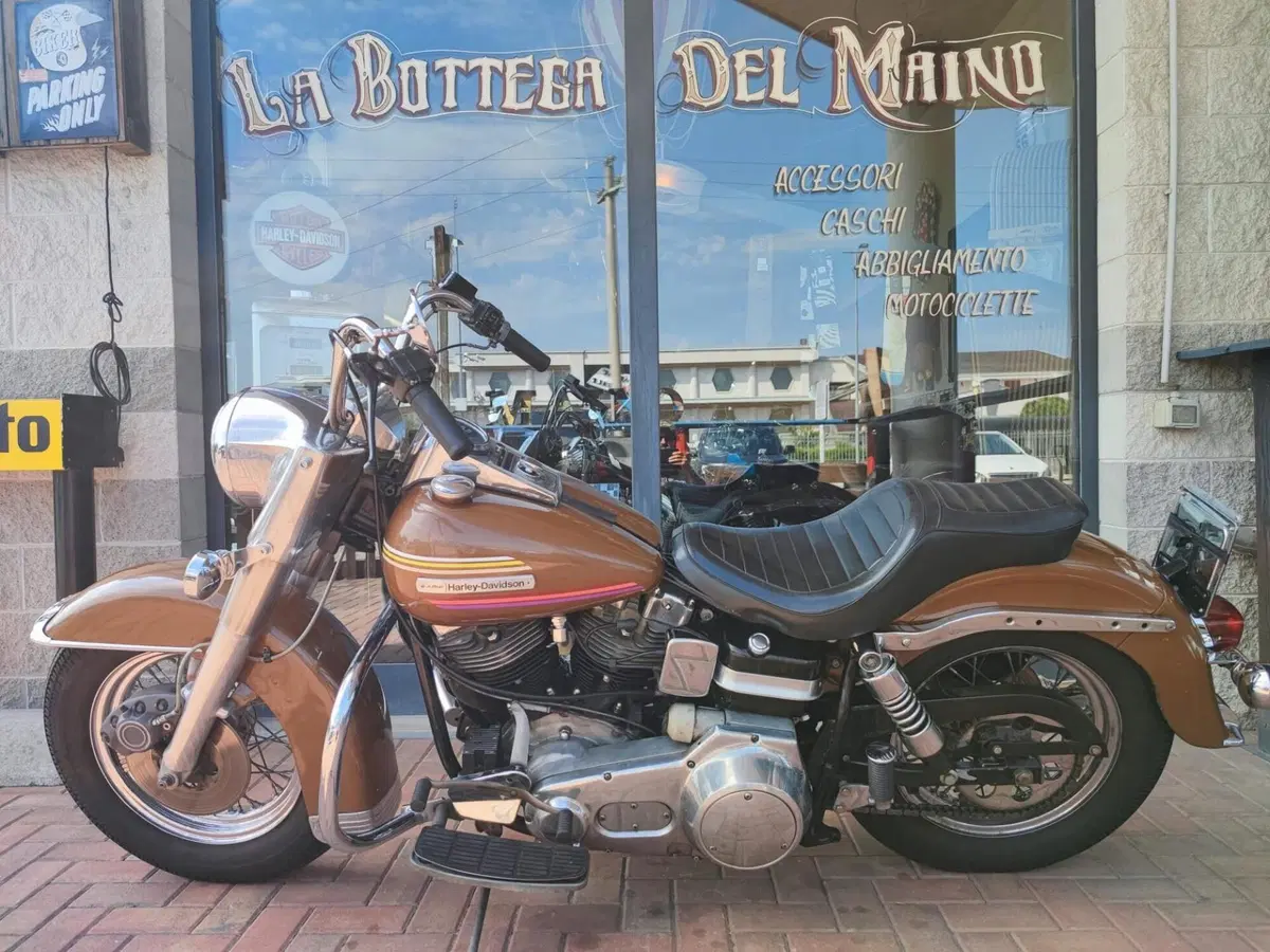 Harley-Davidson FLH Electra glide 1977 (3)