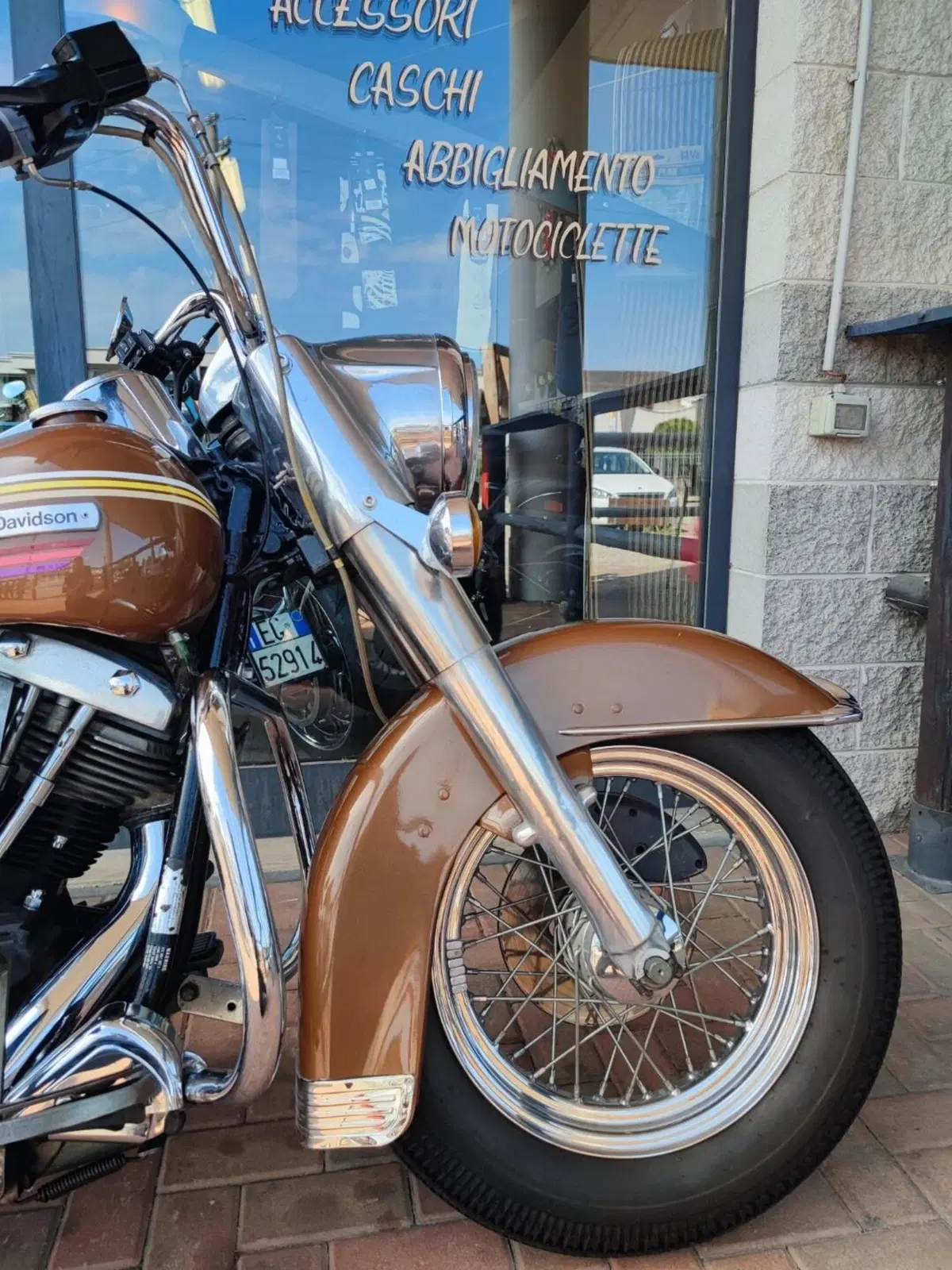 Harley-Davidson FLH Electra glide 1977 (8)
